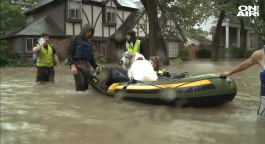 Вечерен час в Хюстън заради мародерските набези 