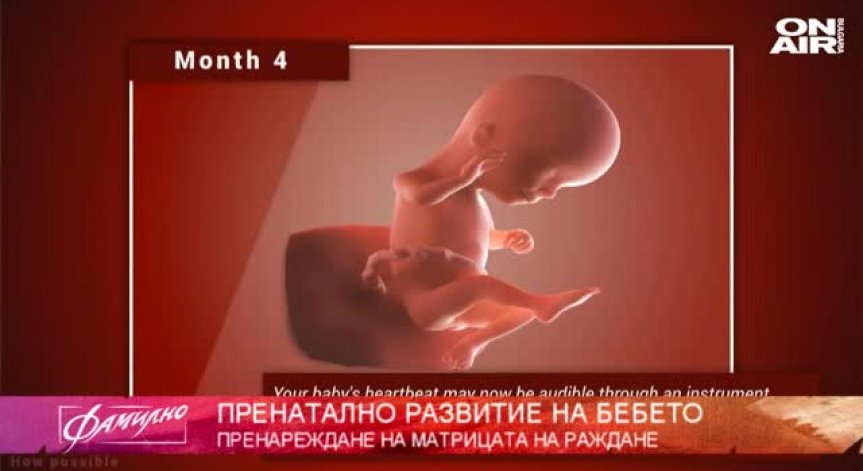 Салвадор Дали и неговият...мравояд! 