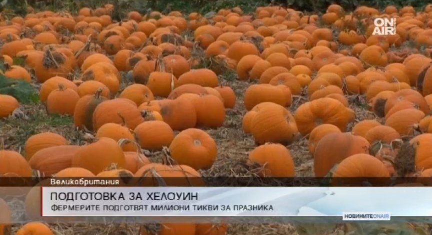 Великобритания в трескава подготовка за Хелоуин