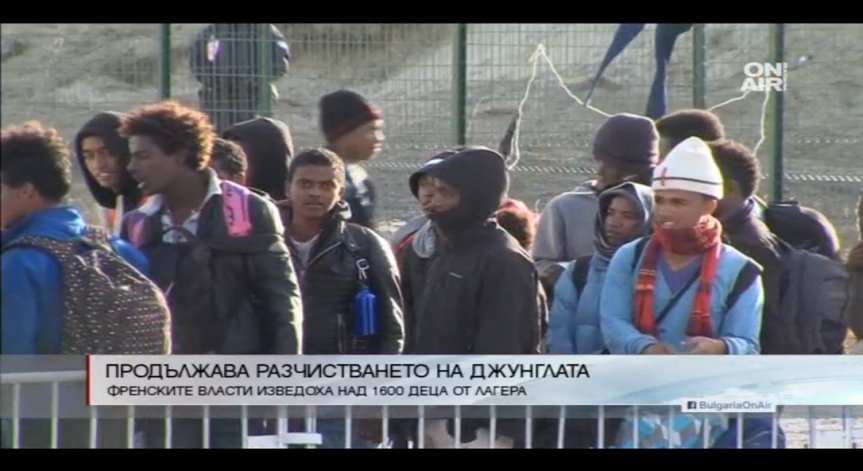 Продължава разчистването на Джунглата