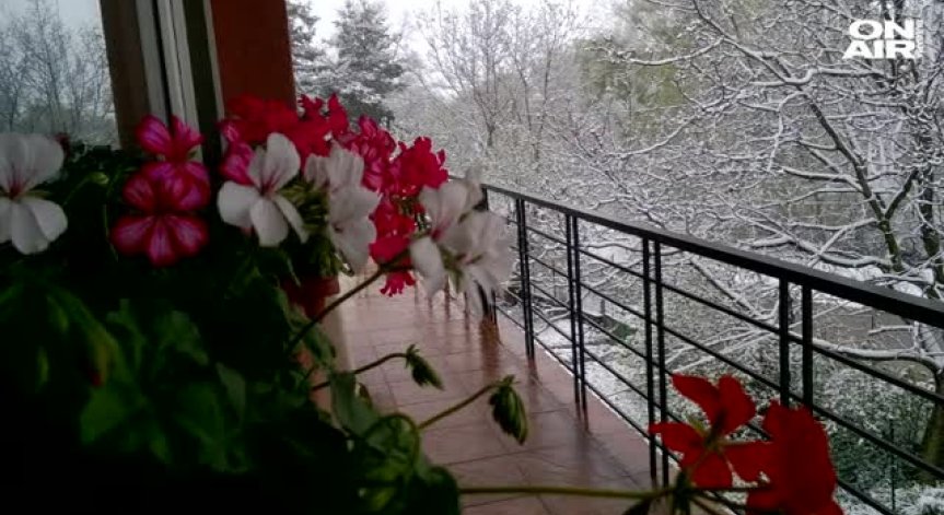 Почти цяла България осъмна в сняг