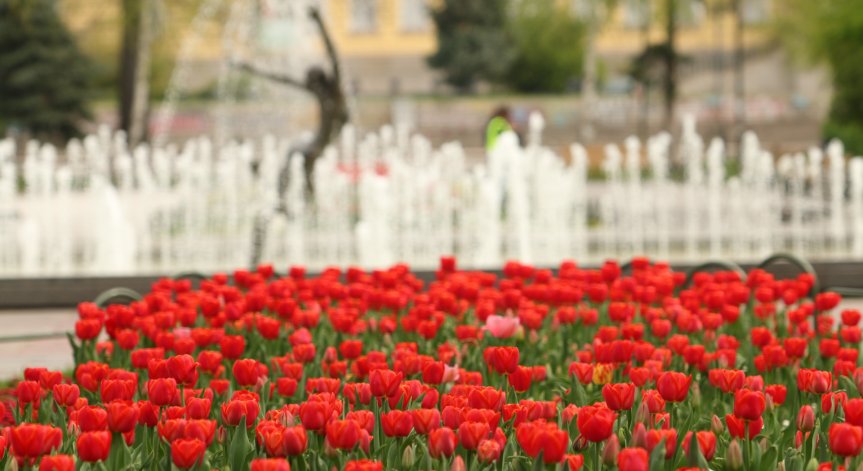 Слънчев и топъл ден, температурите скачат до 19 градуса