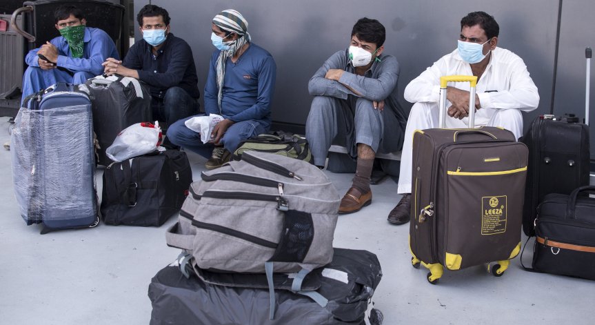 На летището в Дубай използват кучета срещу Ковид-19