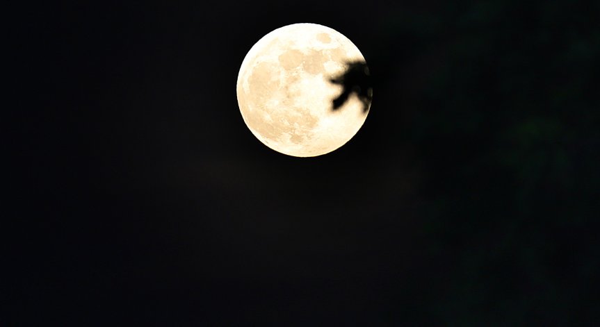 Ягодовата луна за едни зодии носи страхотни новини, за други - промени