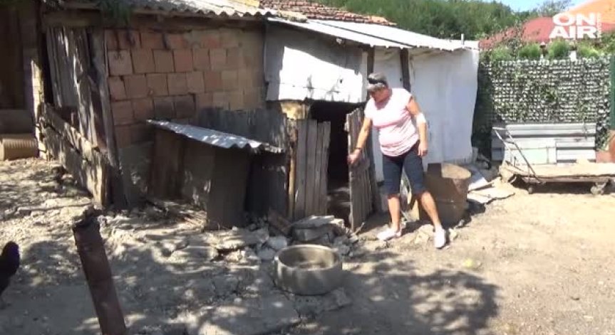 Заради чумата: Чакат се резултатите от прасетата в Бозвелийско