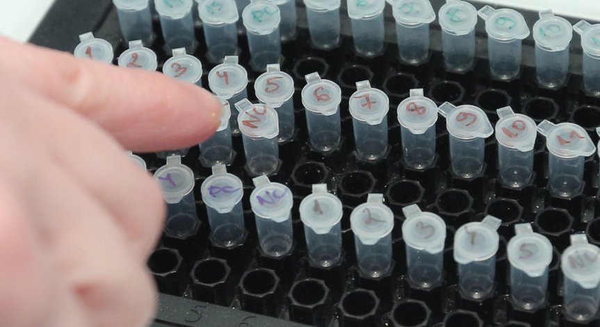 За денонощието: 51 са новите случаи на коронавирус, няма починали (ОБНОВЕНА)