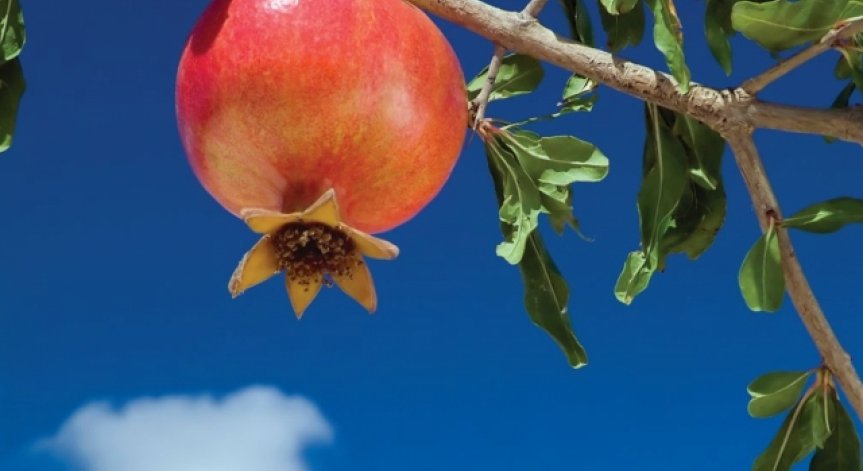 Консумирайте нар за повече здраве