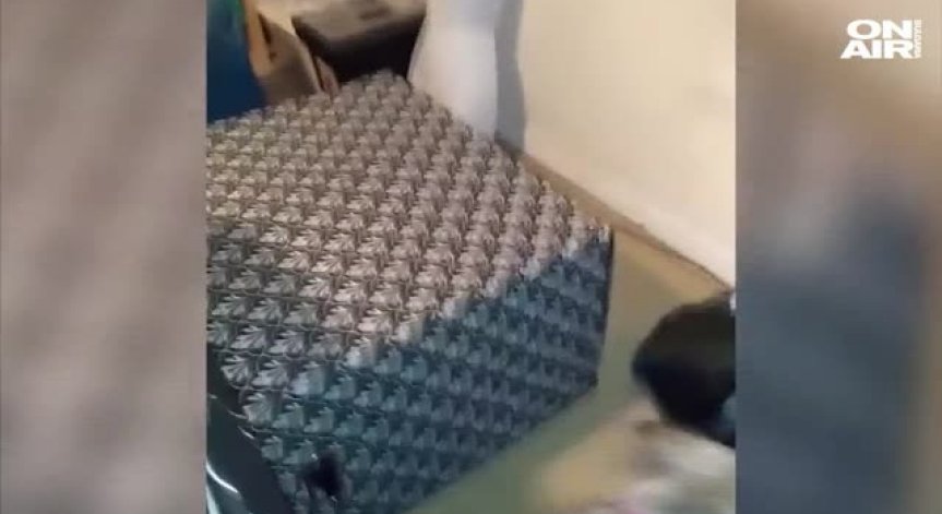 Кой се крие в кутията?