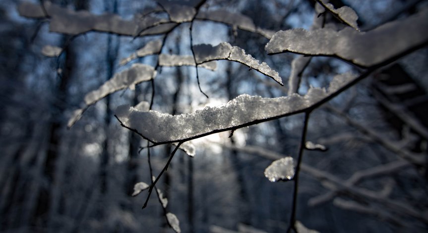 Времето се обръща - жълт код за силен вятър, нахлуват дъжд и сняг