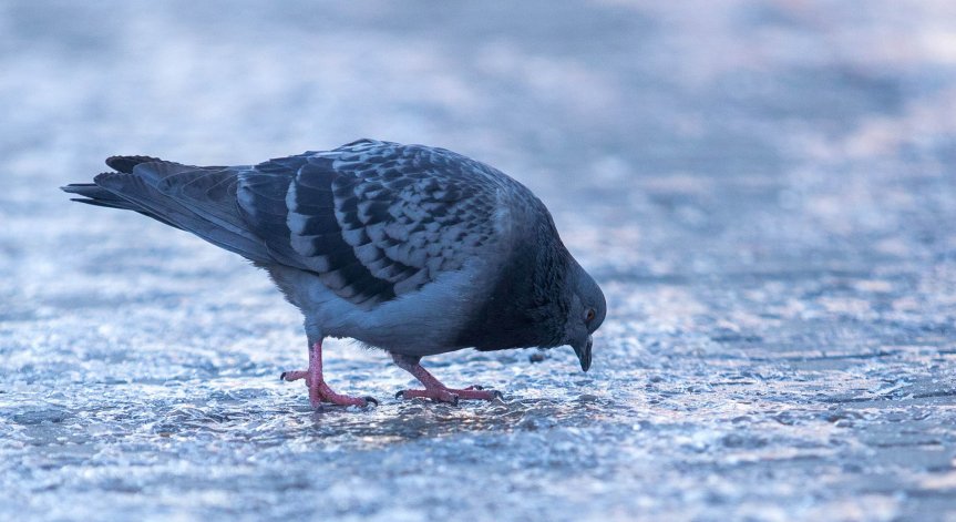 Слънцето днес ще се покаже, но времето остава студено