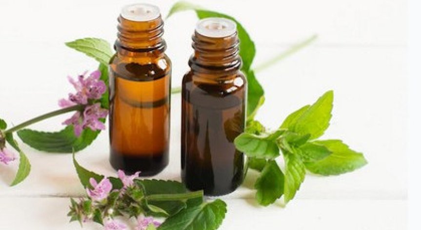 Маслото от мента помага в борбата с пърхота и сърбежа