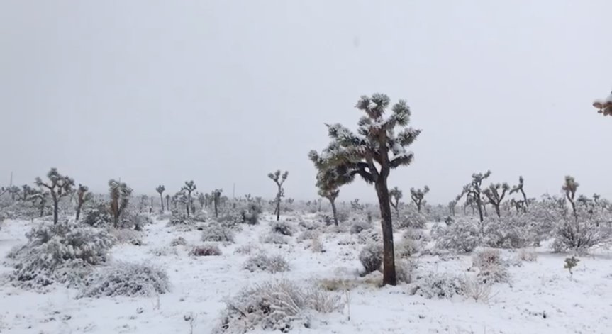 Сняг заваля в пустинен район в Калифорния