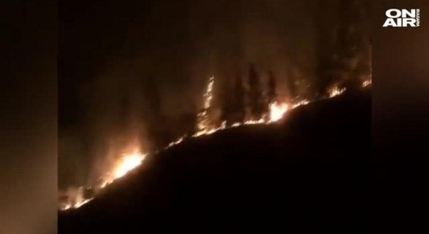 Горските пожари в Израел се разрастват 