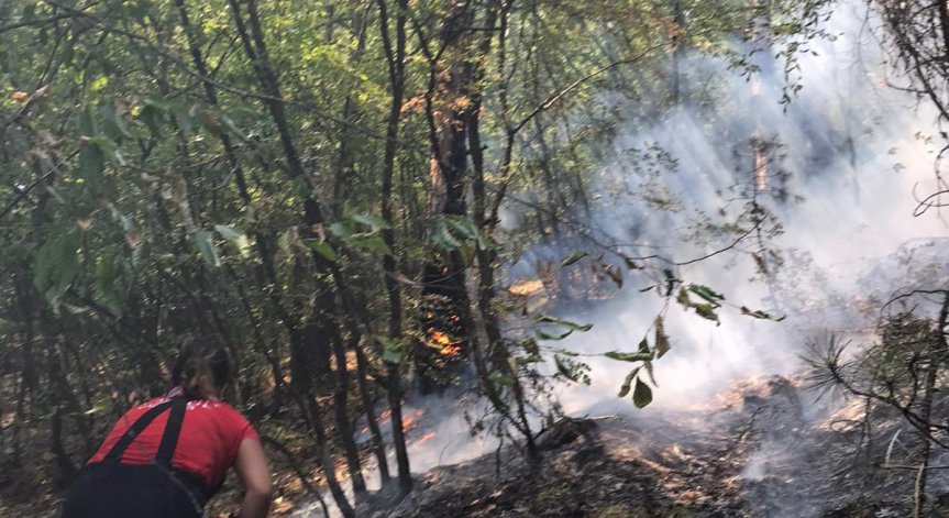 Борбата в Югово продължава, изграждат водоснабдителна противопожарна линия