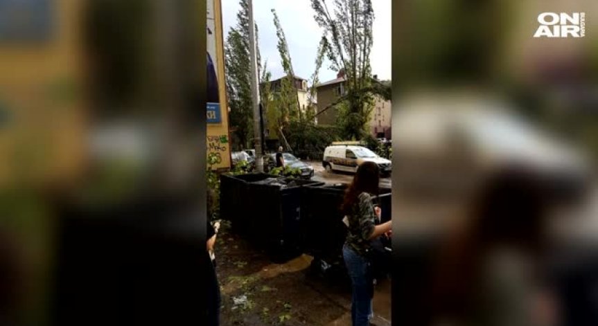 Цяла нощ отстраняват щетите от силната буря вчера в Северозападна България