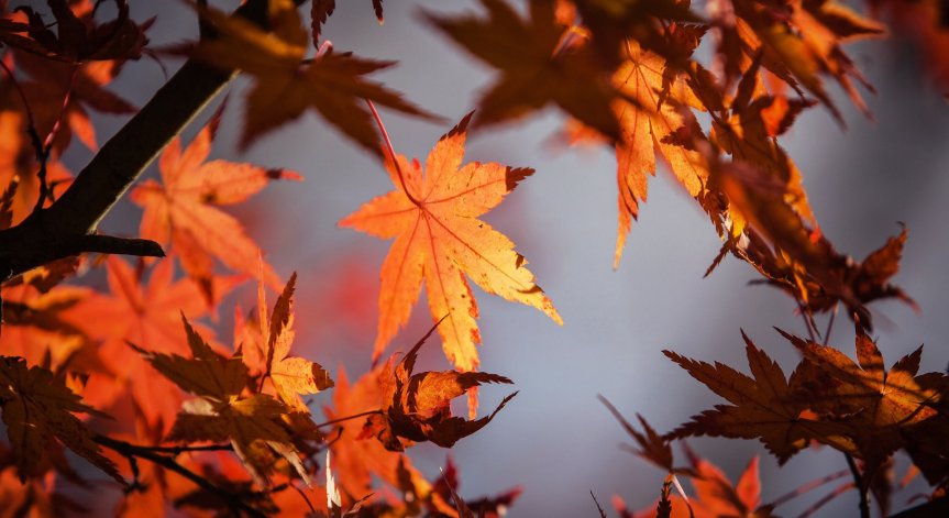 На отделни места ще превали дъжд, максималните температури ще са до 20 градуса