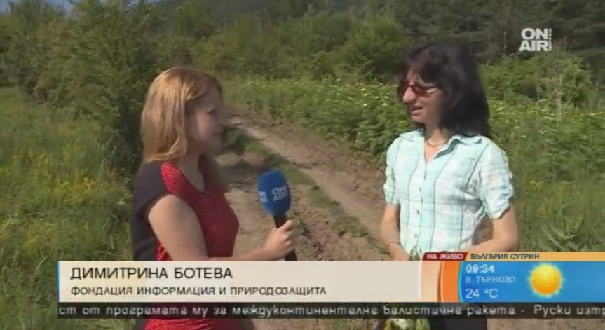 Идва Еньовден и започва брането на летните билки!