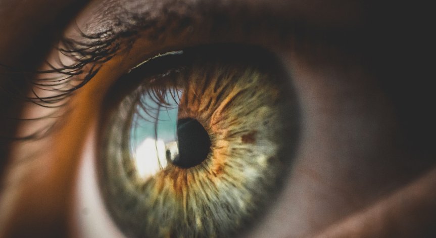 Доказано: Възрастта променя възприятието ни за цветовете