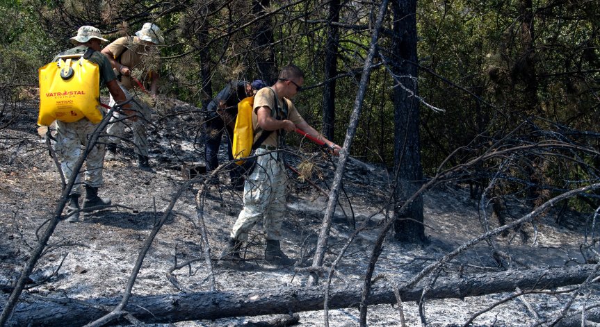 Пожарът се разпространява бързо заради вятъра.