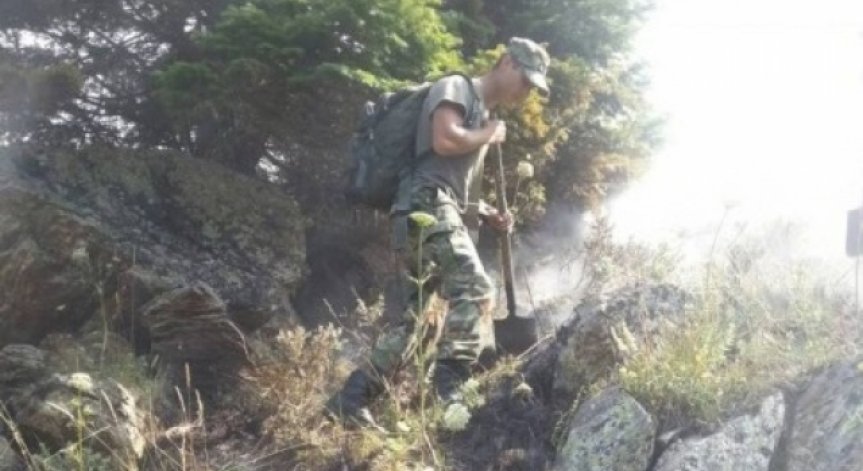 В района на Габрово гори над 100 дка гора