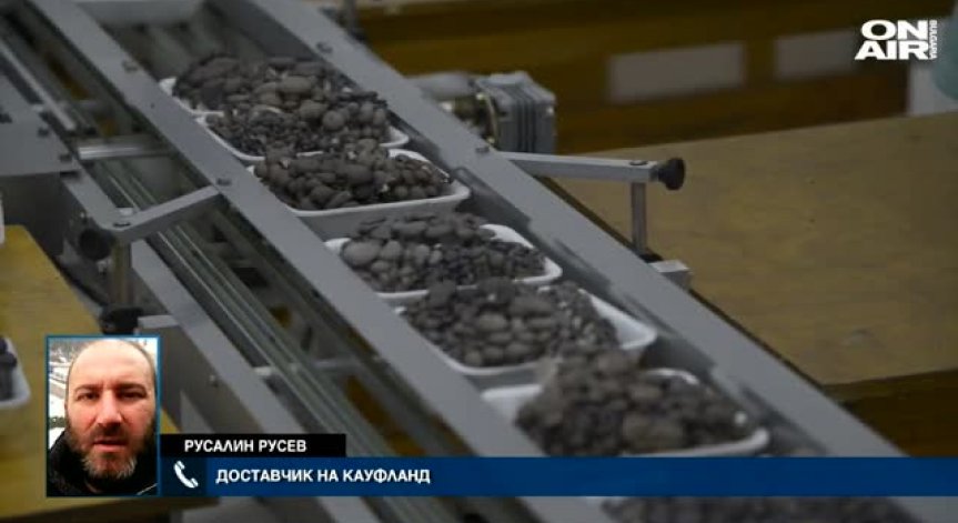 Откриха атропин в кръвта на семейство, консумирало гъби от магазин
