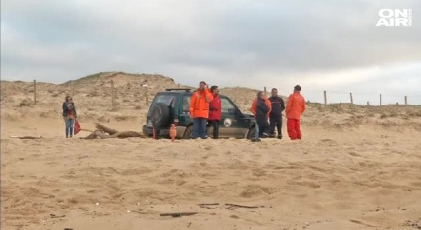 Шефът на Quiksilver изчезна безследно