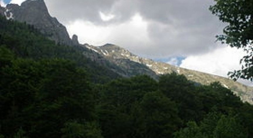 Намериха изгубените ловци от с. Бяла река