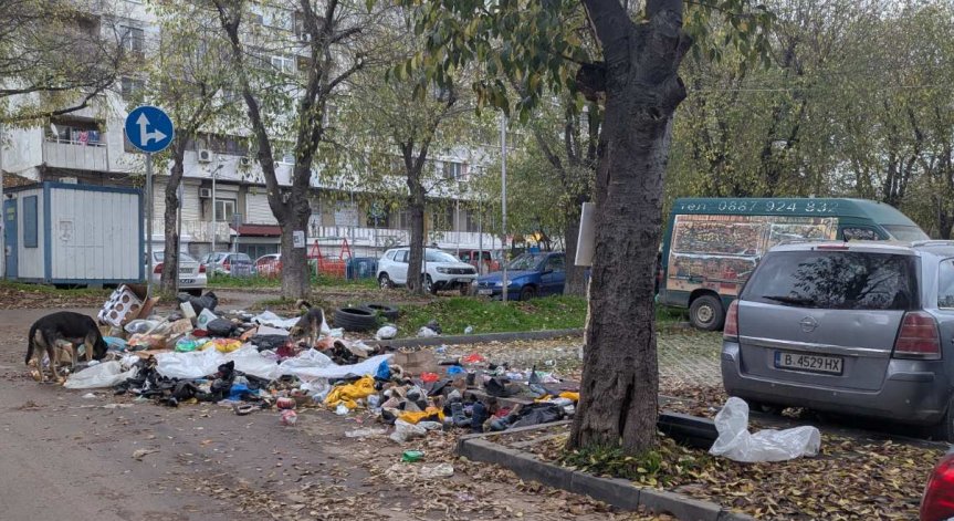 Нетърпима миризма от сметище във Варна: Гларуси, кучета и хора разхвърлят боклука