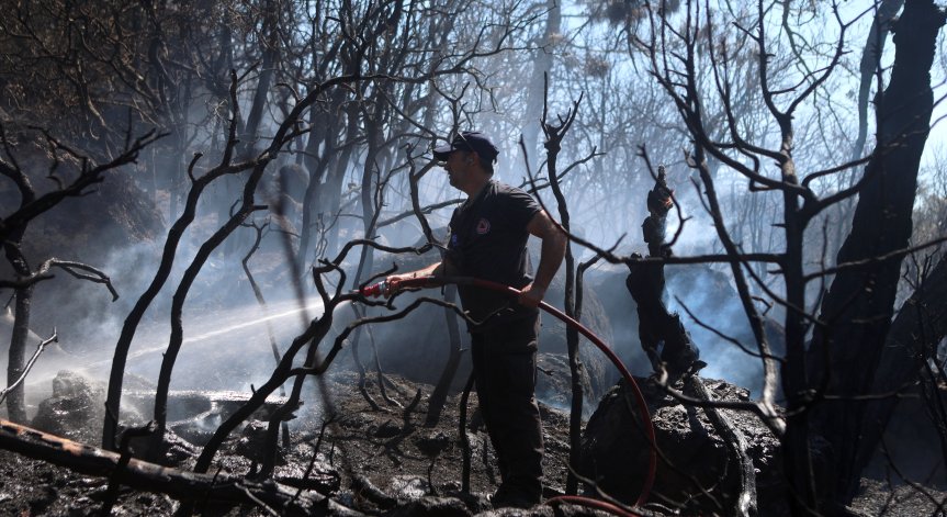 Гърция се е сблъскала с рекордните 1200 пожара само за месец