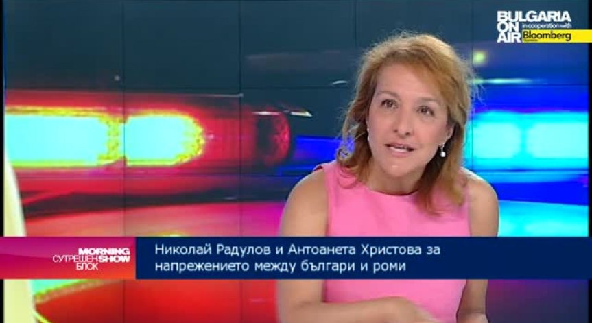 А. Христова: Политиците умишлено дезинтегрират малцинствата
