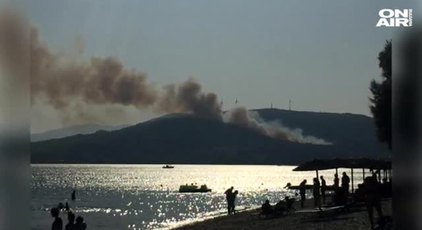 Пожар на гръцкия остров Самос наложи евакуацията на стотици