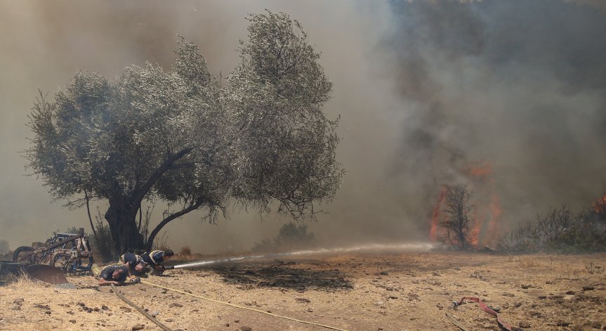 Горски пожари бушуват в Турция: Седем души са задържани за палежи