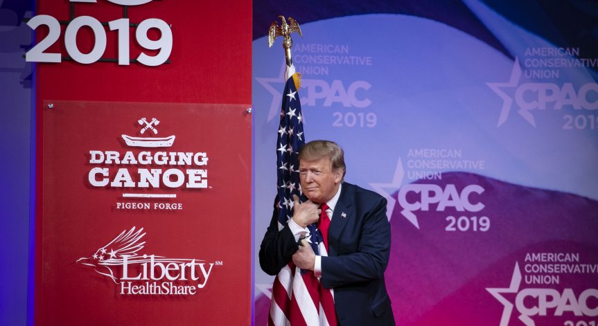 Учени: Прегръдките са полезни за тялото и душата, дори ако са с дървета