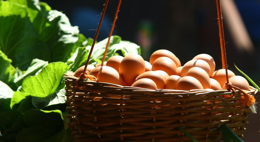 Ето ги и най-подходящите храни при топене на мазнини