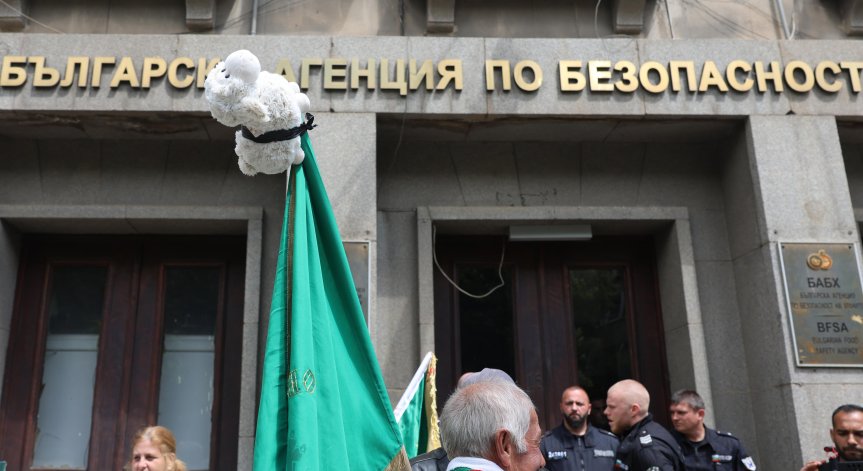 БАБХ ваксинира лисиците срещу бяс в 23 области на страната