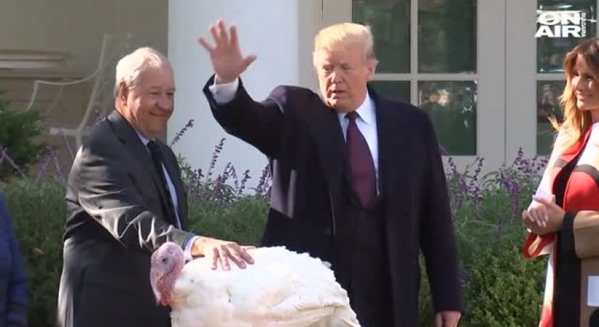 Тръмп вдъхнови новозеландска авиолиния за нестандартна реклама