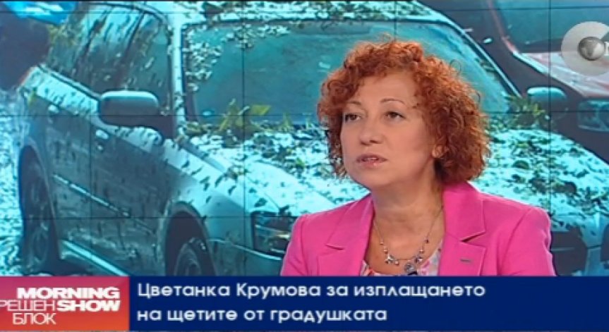 Застрахователните компании у нас са били готови да реагират веднага след градушката