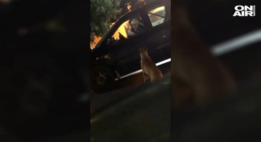 Стопанка хвана кучето си да се прави на бездомно