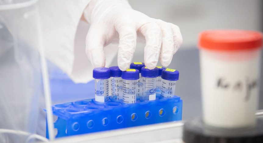 Опасен случай на хеморагична треска в Търновско, вирусът се пренася от гризачи