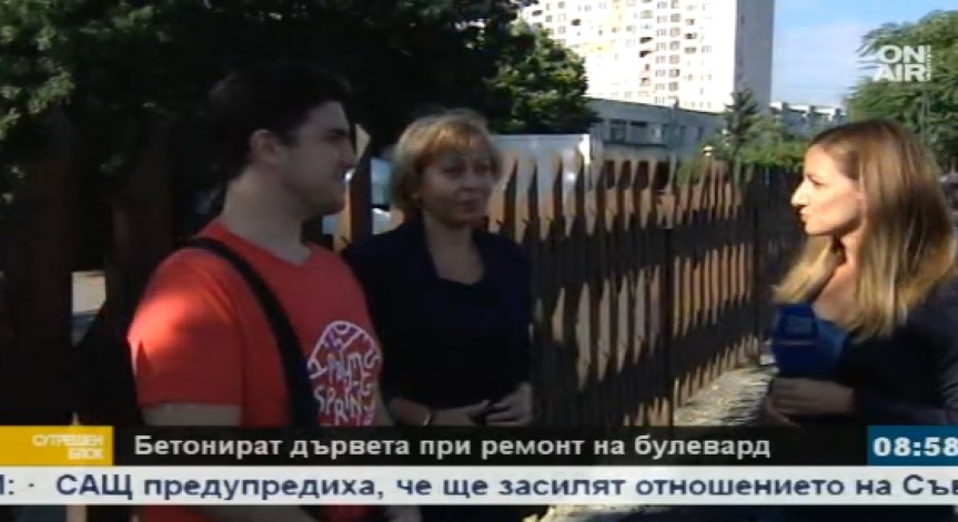 Решиха проблема с бетонираните дървета на бул. 