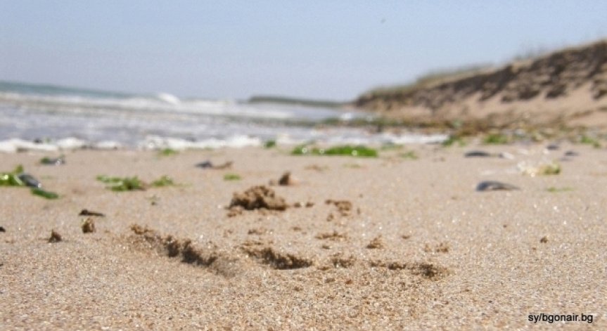 Руски туристи: Къде да отидем на море- България или Гърция