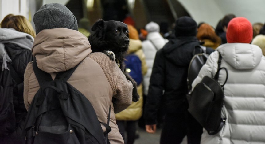 Украинските бежанци - добре дошли в Германия: 37% искат да се устроят за постоянно