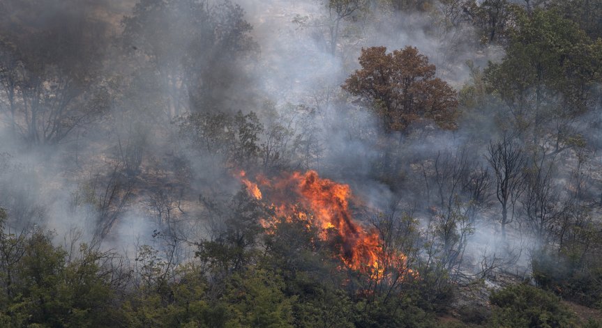 Все още има риск от възникване на нови огнища.