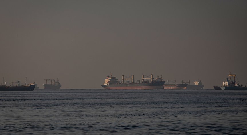 Учени откриха завишени нива на тежки метали в Черно море