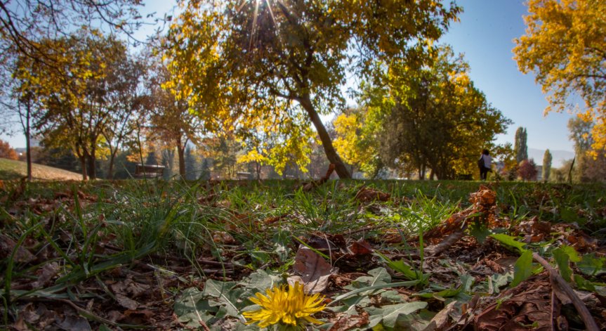 Времето остава топло, облаци и слаб дъжд се очакват в Западна България