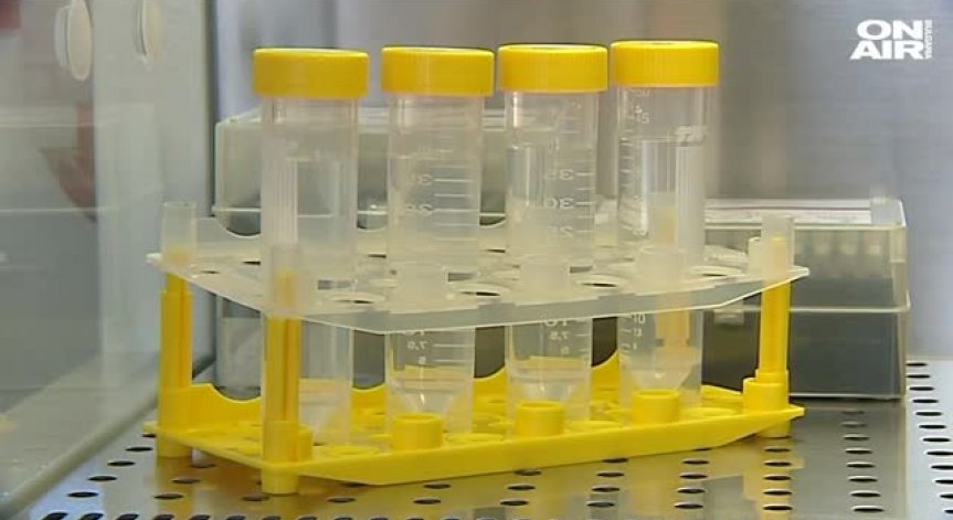 В края на месеца грипът достига пик - пазете се!