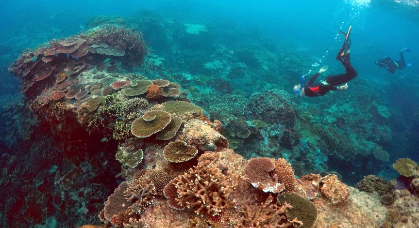 Големият бариерен риф не е включен в списъка на ЮНЕСКО с обекти на световното наследство.