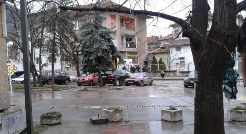 Снимка: Архив