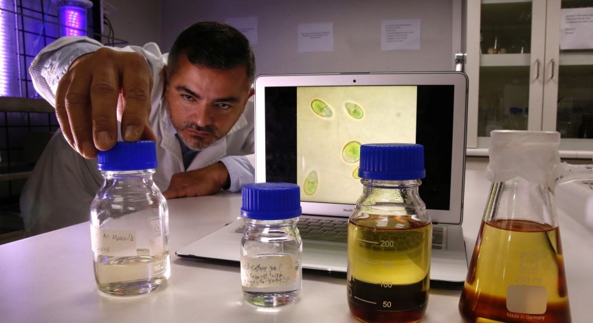 САЩ са лидер в производството на биогорива през 2018 г.