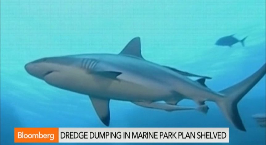 Големият бариерен риф може да бъде спасен